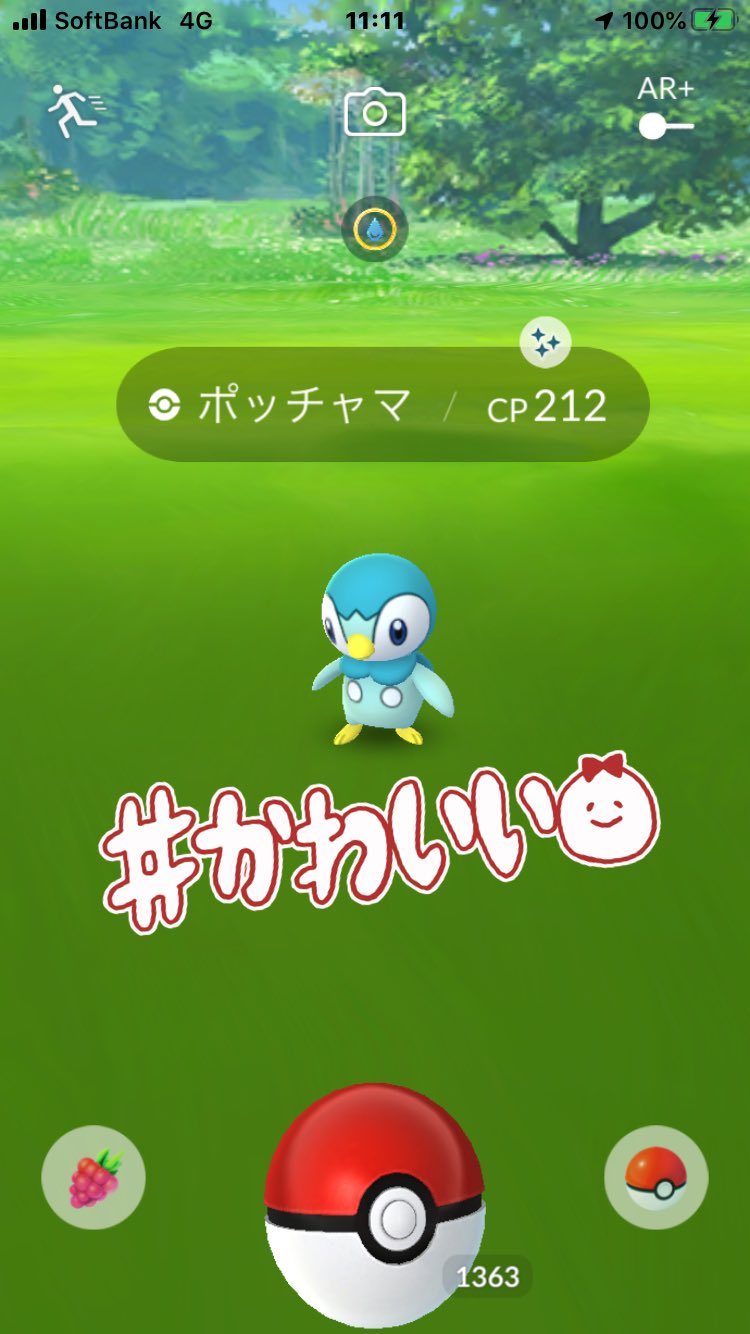 あゆみネコ ポケモンgoへの道 ポッチャマ編 今日も 3時間ヘトヘト 色違いは ６匹 ガチの方と 一緒 Pvpで 上位エンペルト ゲットw T Co Tbixa0bqgf Twitter