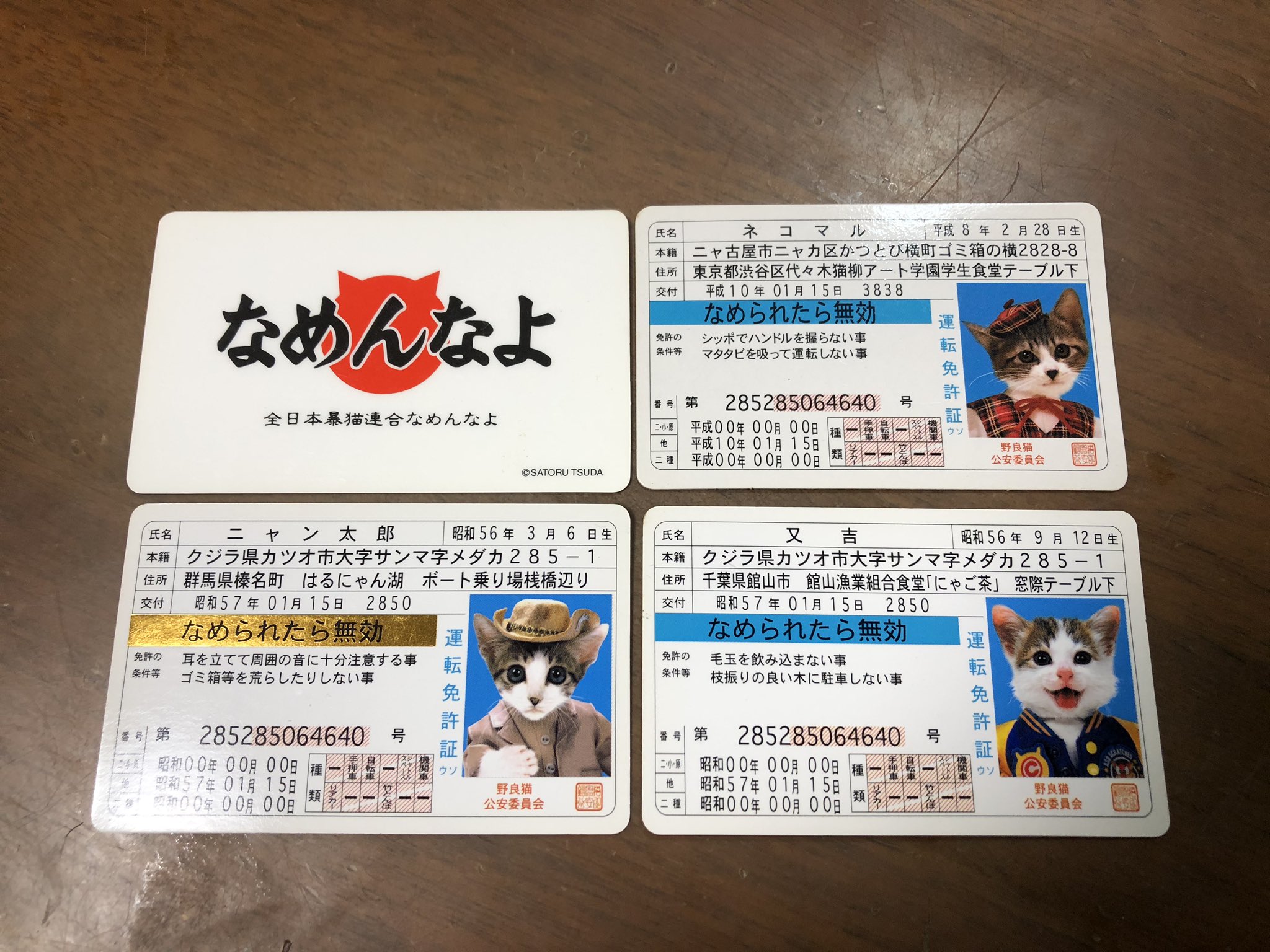 全日本暴猫連合なめんなよ Twitter Search Twitter