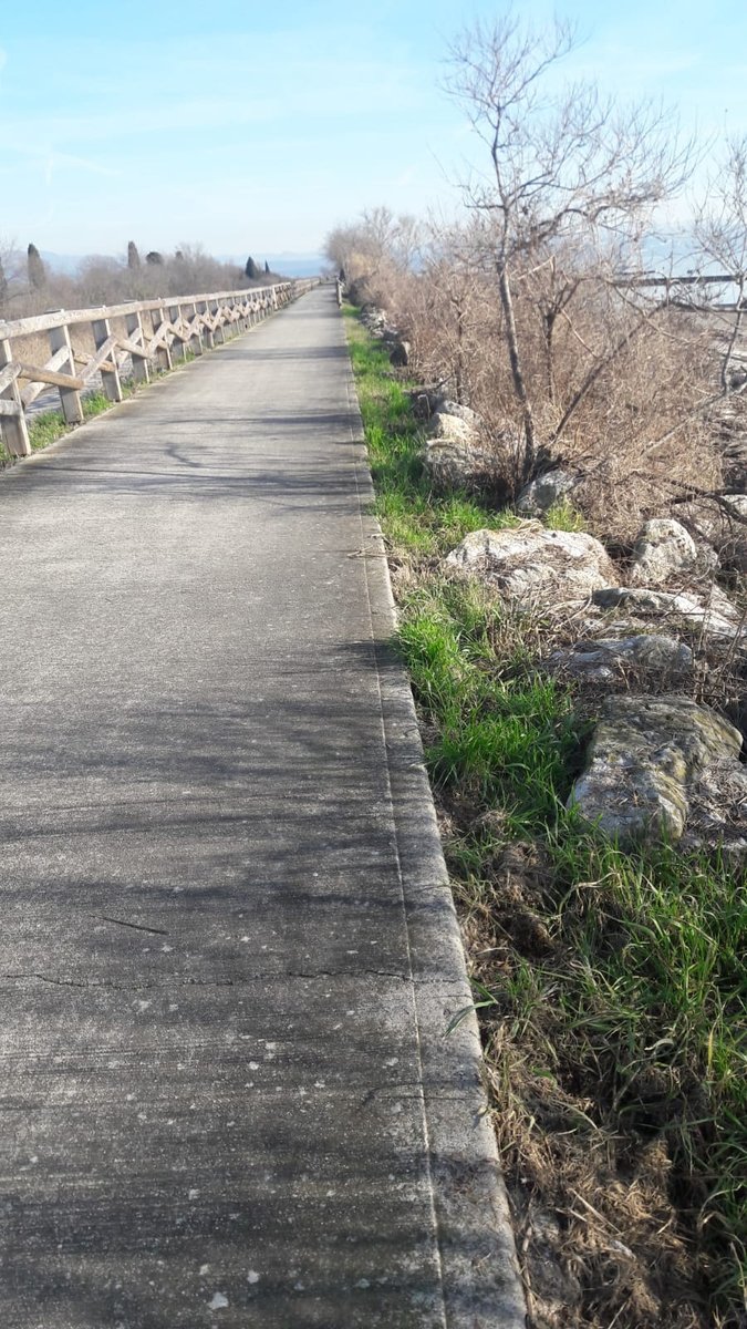 .<a href="/UlisseFIAB/">FIAB Trieste Ulisse</a> -

#isola di #GRADO #island -

Chiusa temporaneamente da FVG Strade la "Ciclovia del mare Adriatico" da via Averto (Fossalon) fino al Caneo) per mancanza di sicurezza: parapetto in più parti rotto o mancante -

oggi su <a href="/il_piccolo/">Il Piccolo</a> -

<a href="/mariacr28250504/">maria cristina lazzi</a> <a href="/giorgiobigi1/">giorgio bigi</a>