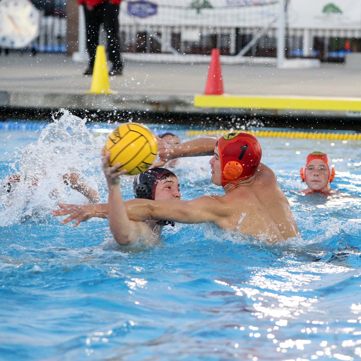 Futures WPL tweet media