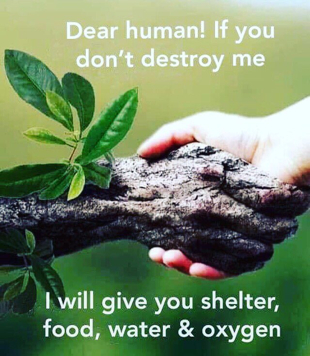 RO_Universe's tweet photo. ✌️💖🙏

#nature #environment #peace #one #weareone #being #consciousness https://t.co/1xgeaSkoFD