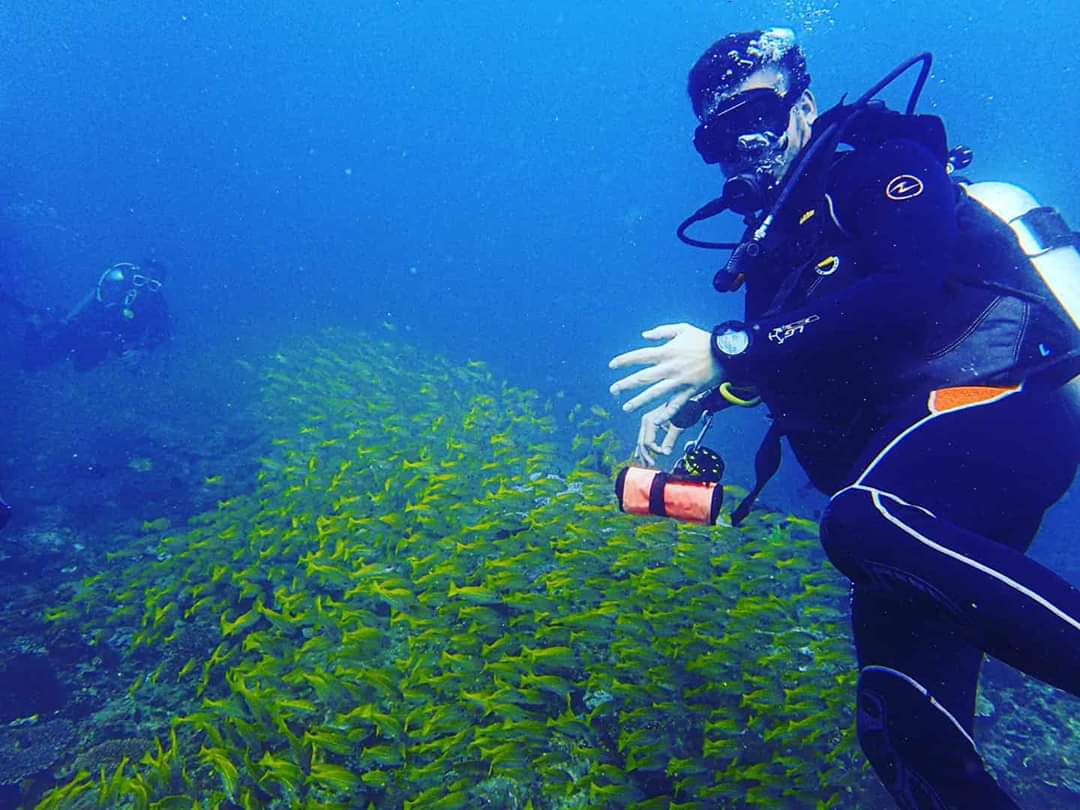 Class of 2020.🐟🐟🐟 

#schooloffish #yellowtailsnappers #scuba #diving