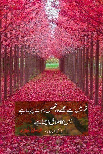 QMSaeed123's tweet photo. https://t.co/VTAARyDY08