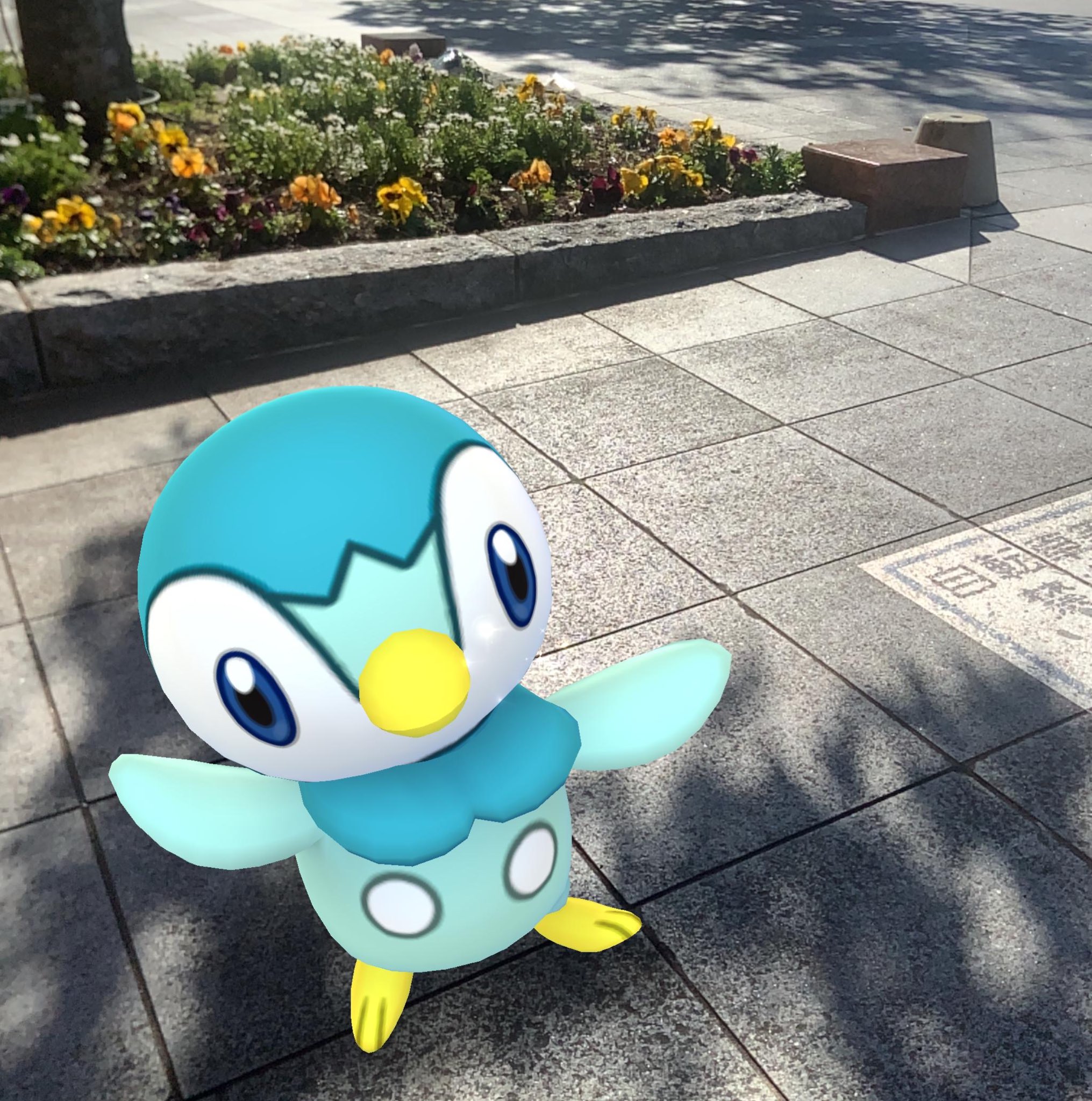 Onepoke サーバーダウン ポケモンgo ポッチャマ T Co Brocynrqxs Twitter