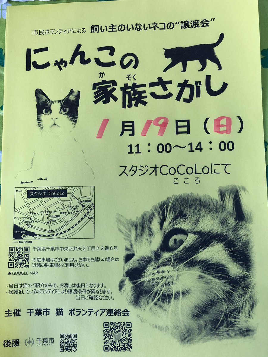 千葉市猫ボランティア連絡会 Tenmao1tenmao Twitter