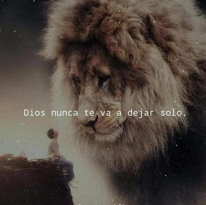 !KevinColomna ツ tweet media