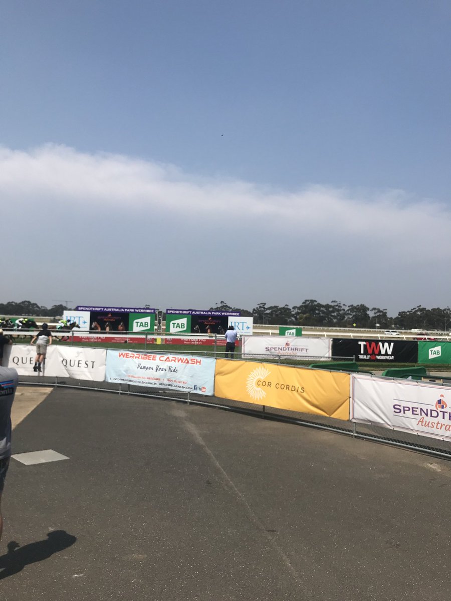 1000giggles's tweet photo. Race 4 winner #Jamocha #TobinBrothers Maiden Plate @spendthriftpark @Spendthrift_au @Country_Racing @Racing @RacingInsider @vicbreeders https://t.co/sZtPZEeMO9