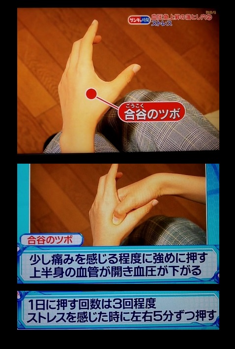 ブレアリオス 01 血圧を下げるツボ ゲンキの時間 健康カプセル 高血圧 血圧 合谷 ブレアリオス 01 血圧を下げるツボ ゲンキの時間 健康カプセル 高血圧 血圧 合谷