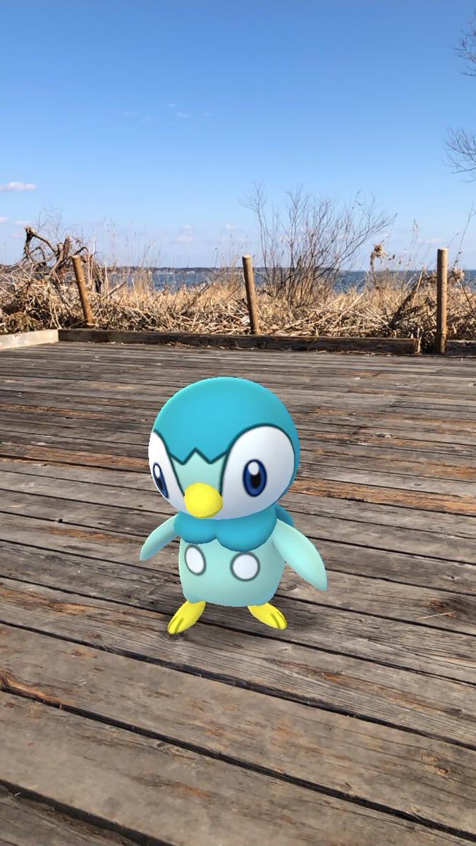 とみやお嬢様 Pokemongocommunityday やっぱりポッチャマってかわいいわ 最後はヘリコプターと ポッチャマ