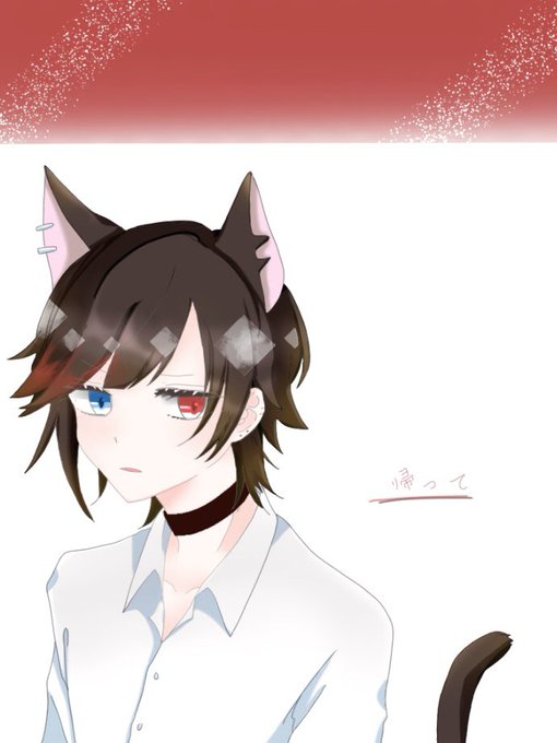 りねこくんのtwitterイラスト検索結果 古い順