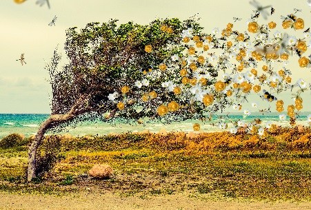 SolMage's tweet image. What’s Your Super Power? (Part 4: Secrets of Wind Magic) wizardmagicfantasy.com/whats-your-sup…