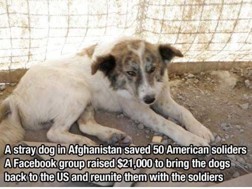 MesMitch's tweet photo. @funder https://t.co/thliEEbk9o