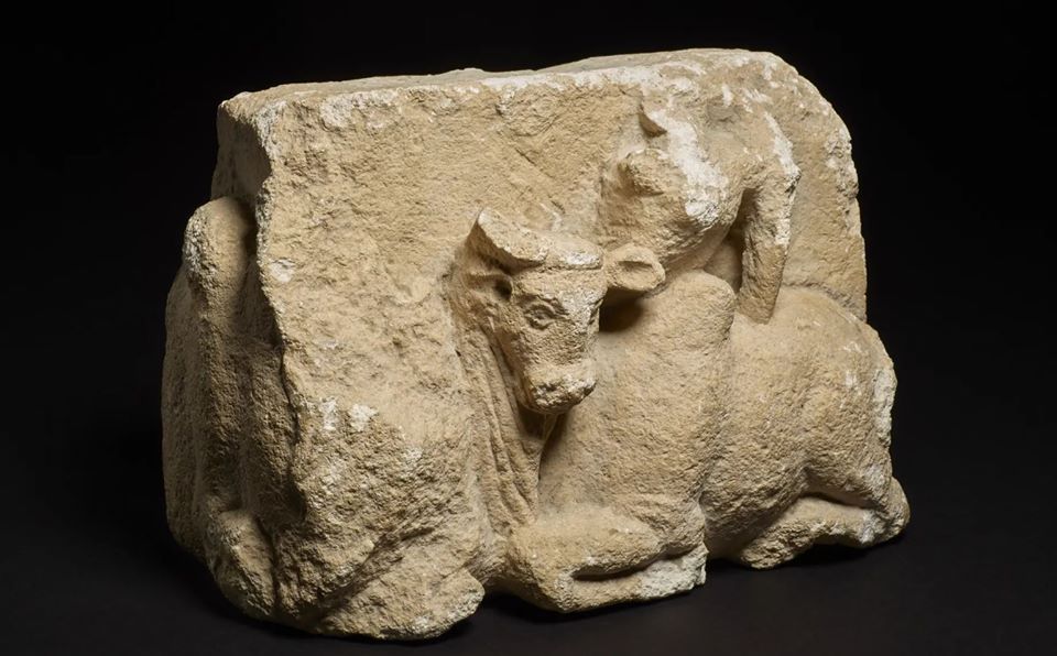 of_archaeology photo