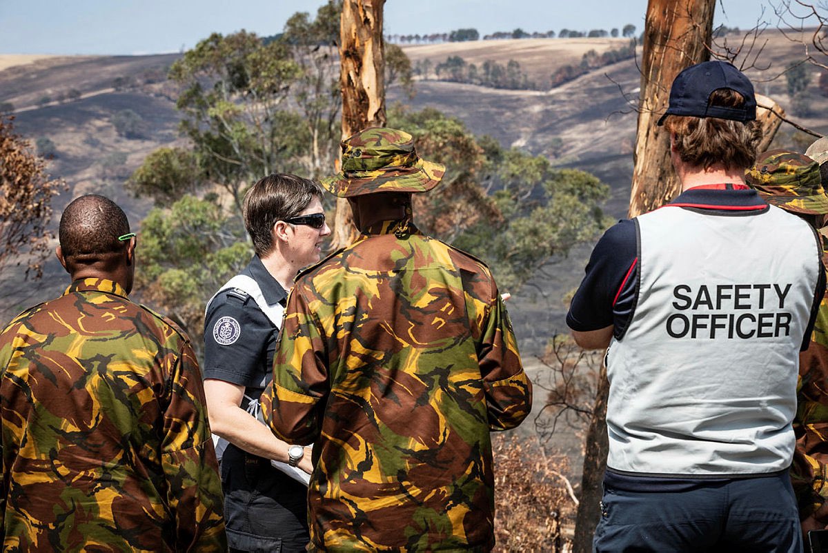 Linda Reynolds tweet media