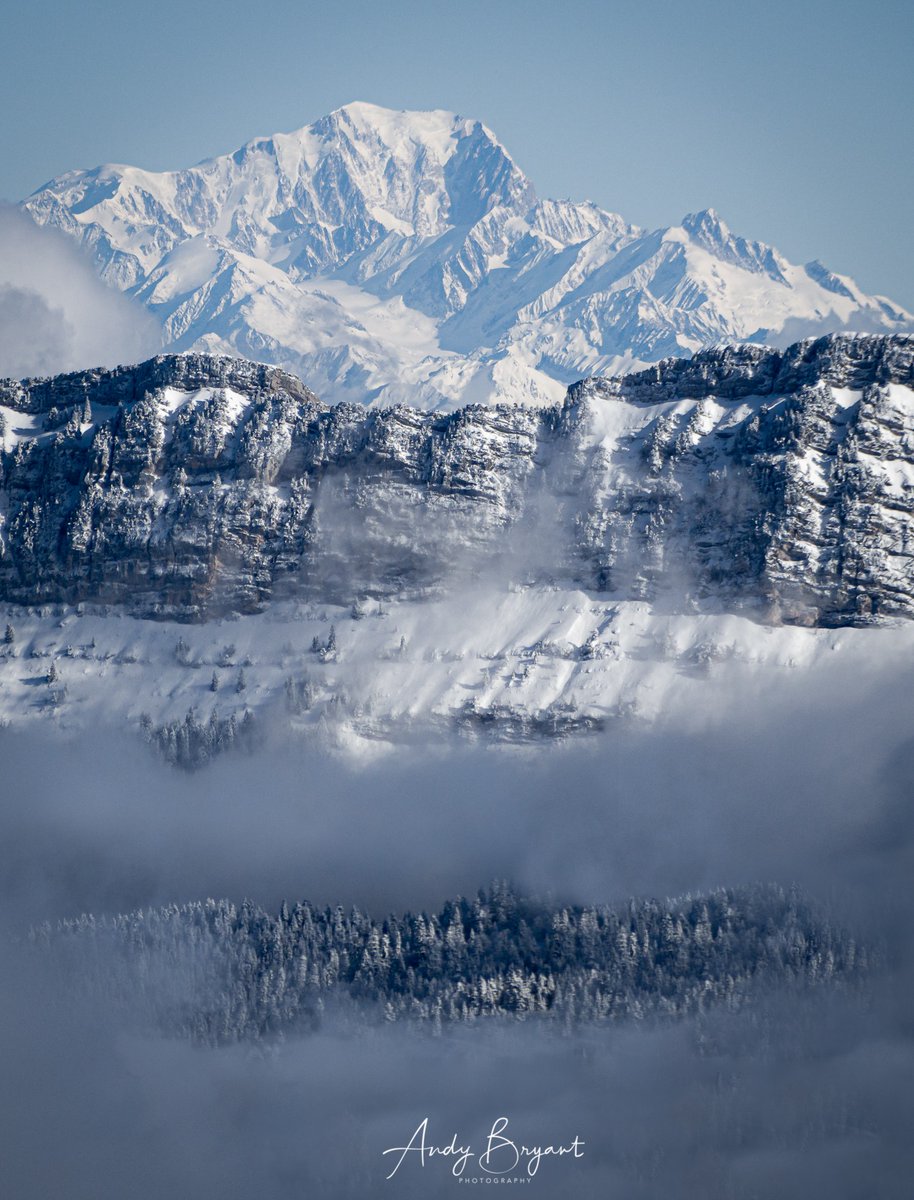 Andy Bryant tweet media