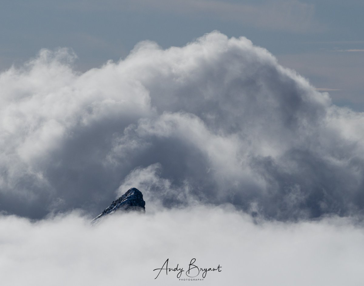 Andy Bryant tweet media