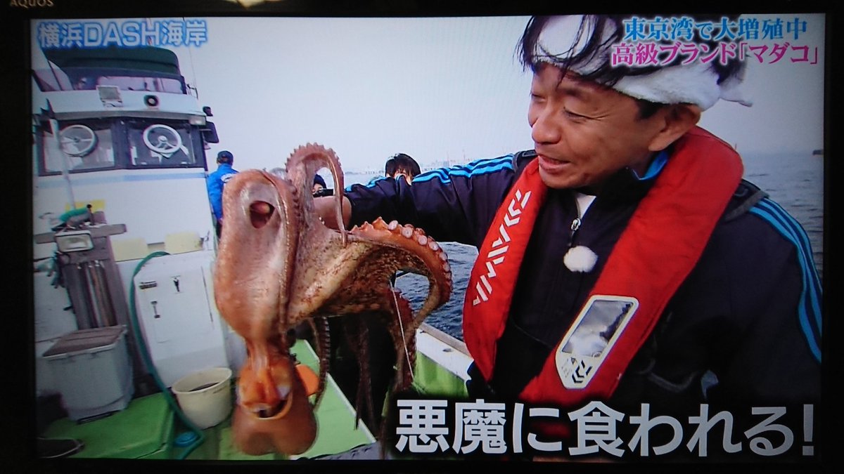 年1月19日 ザ 鉄腕 Dash で 悪魔 が話題に 4ページ目 トレンドアットtv