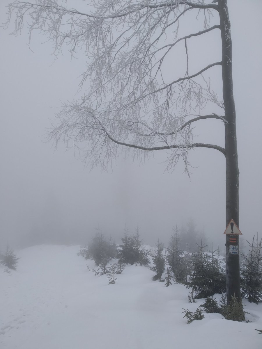 teraz_w_gorach's tweet photo. Dzisiejsze perspektywy na górskie widoki #beskisądecki https://t.co/25B99tEumy