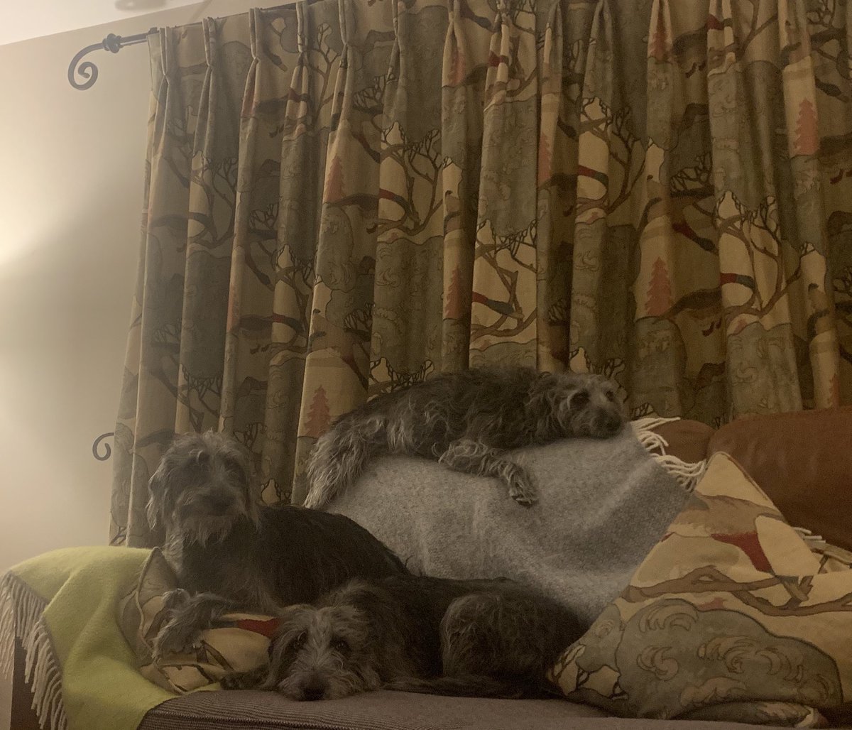 cargenhounds's tweet photo. Wow we’ve been on ⁦@SundayBrunchC4⁩ this morning.  Fame at last showing off our curtains! https://t.co/pulgoLNjFB
