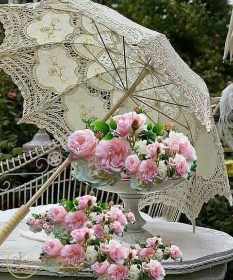 ninscrystal's tweet photo. "Minds are like flowers; they open only when the time is right."

~Stephen Richards 

                   🌸 Happy Sunday🌸 https://t.co/EXgSduEqaM