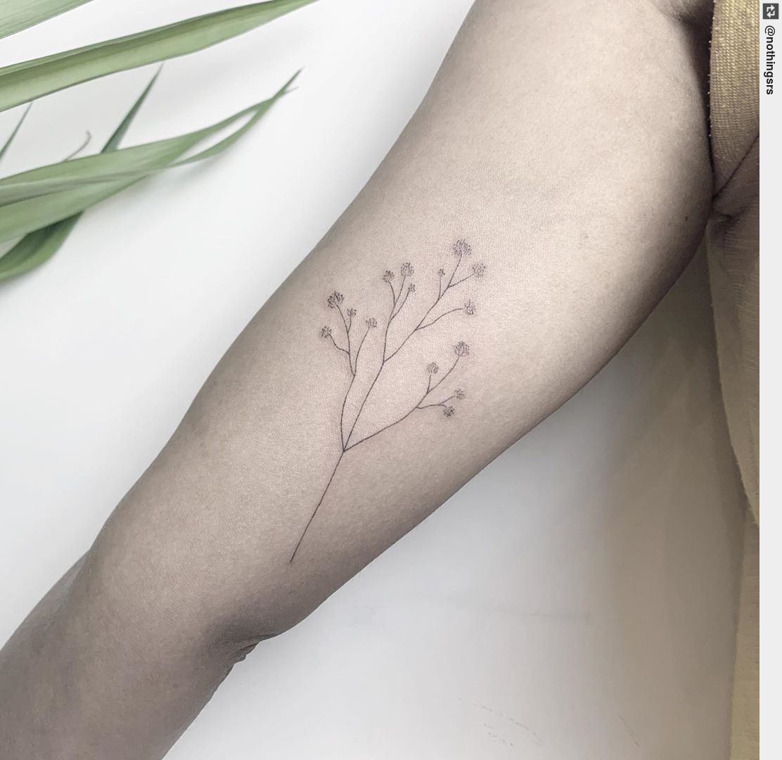 16 Babys Breath Tattoos Designs with Meanings and Ideas  Body Art Guru