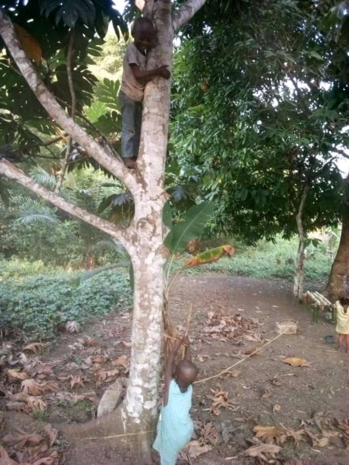 ConfidentWrigh3's tweet photo. Welcome to Zai Town Kids orphans ministry. If you're led to sponsor a child please let me know we have 44 orphans kids in the orphanage home. https://t.co/pumIvuKx4X
