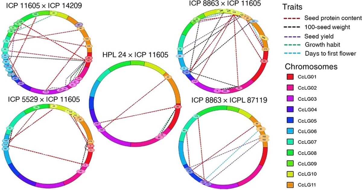 Center of Excellence in Genomics & Systems Biology tweet media