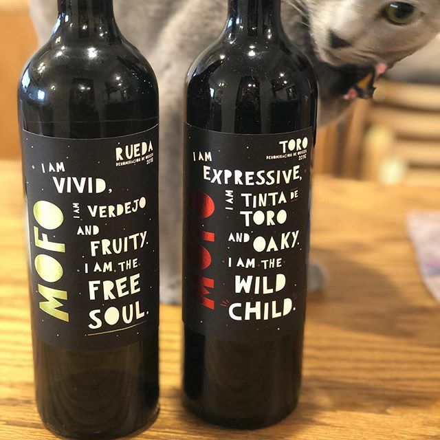 otama_han's tweet photo. Wine w/Tama
#russianblue #catofinstagram #graycat #spanishwine #drinkinthedaytime #ロシアンブルー #ねこすたぐらむ #ねこすきさんと繋がりたい #灰猫 #昼間から飲む #スペインワイン #ジャケ買いワイン https://t.co/oeZwC05RuX https://t.co/jPBi1GOlwf