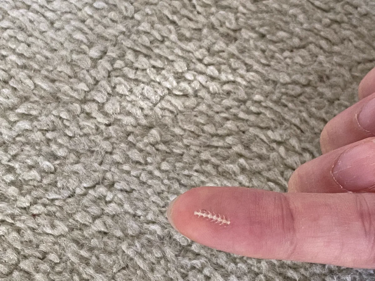 まるで精巧な作り物みたい！ハムスターが煮干しを食べた後に残された骨が可愛い！