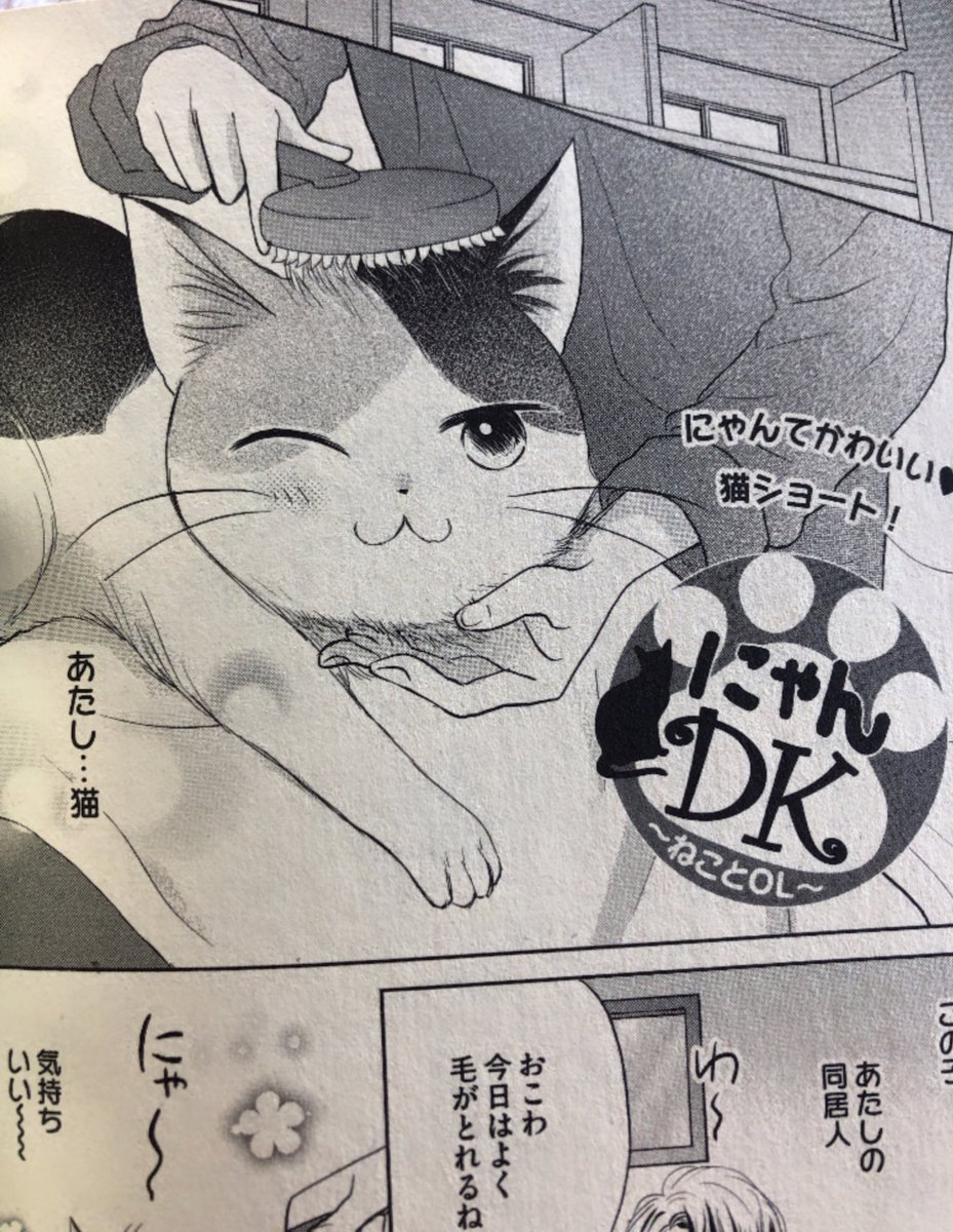 ?お知らせ?
只今発売中のプチコミック増刊冬号に猫ショート「にゃんDK」掲載されてます??ふわもこブラッシング回になります!よろしくお願いします? 