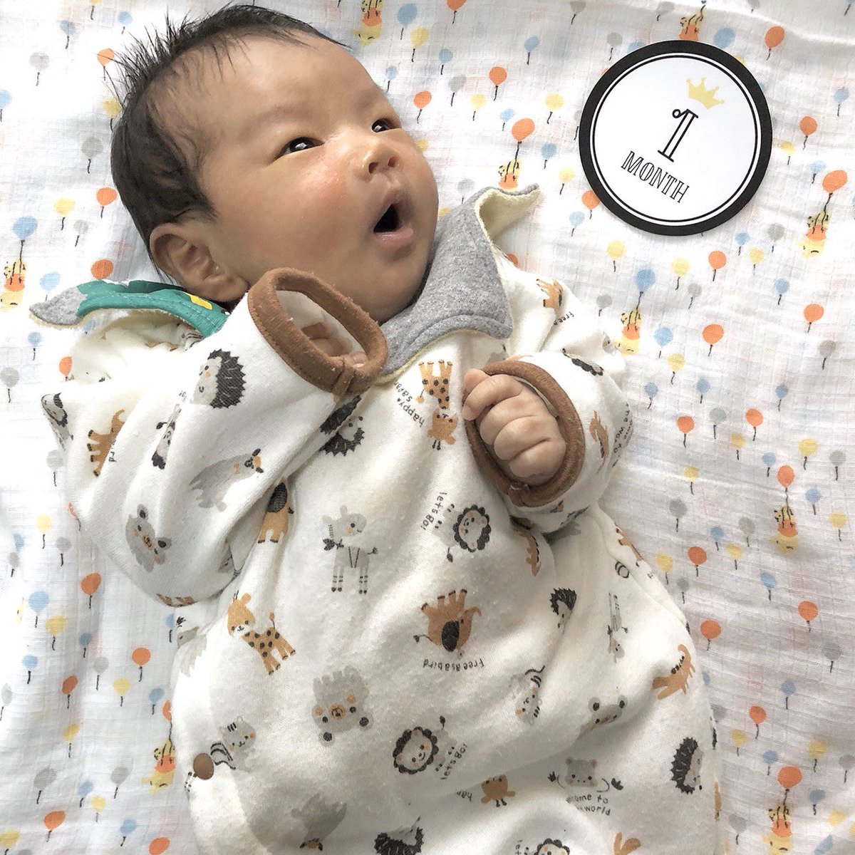Atsushi Tsuruta V Tvittere 今日で生まれて1ヶ月の孫 定番のおむつアートだよ 孫 初孫 ベビー 12月 12月産まれ 男の子 あかちゃん 赤ちゃん 可愛い 孫バカ メロメロ 1ヶ月 おむつアート おむつ オムツ Baby Mago Hatsumago Love Omutsu Atsushi Tsuruta V Tvittere 今日で生まれて1ヶ月の孫 定番のおむつアートだよ 孫 初孫 ベビー 12月 12月産まれ 男の子 あかちゃん 赤ちゃん 可愛い 孫バカ メロメロ 1ヶ月 おむつアート おむつ オムツ Baby Mago Hatsumago Love Omutsu