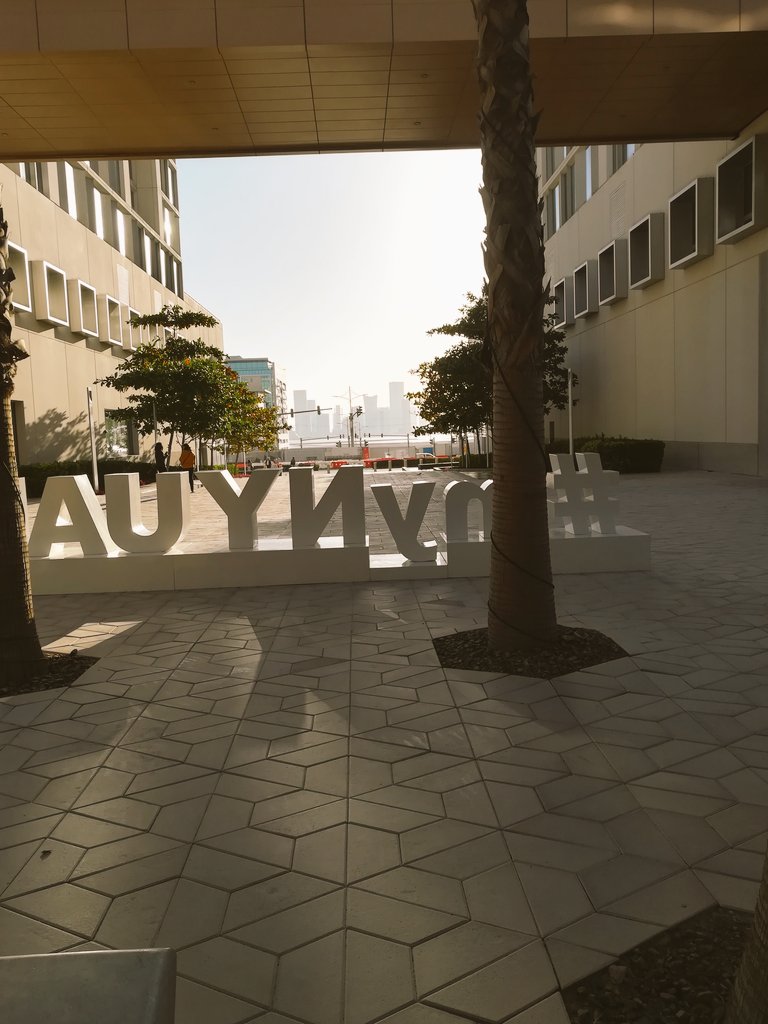 vwestric_west's tweet photo. Not to be Northern Hemisphere-centric, but some Winter Institute this is #widh @NYUAbuDhabi. Also, enjoy this cat. https://t.co/nHfh3Cvqee