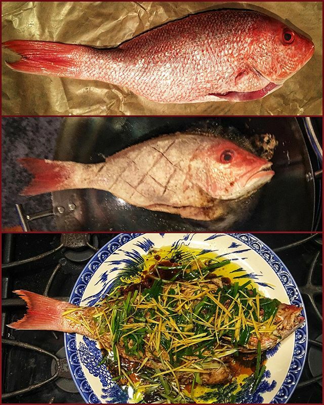 Tai, Oh My!😻🐟 #taisnapper #carbonsteelwok #outdoorcooking #redsnapper #wholefish #niannianyouyu #niannianyouyu年年有余 #年年有余 #TaiRedSnapper #gonxifacai #luckywelivehawaii #bigkahunaburner #backyardcooking #happychinesenewyear #wokfire 🔥🔥🔥 ift.tt/2uh9jnT