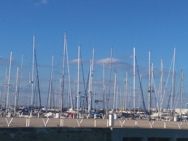 Nicoletta De Rossi tweet media