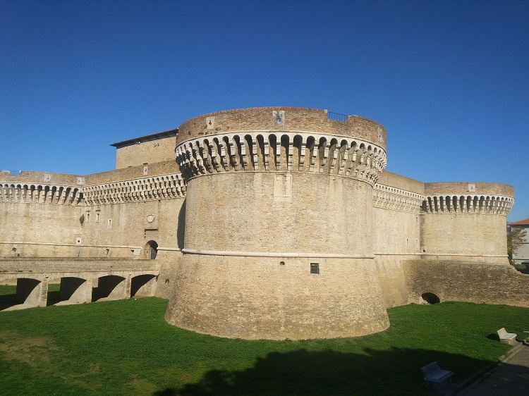 Nicoletta De Rossi tweet media