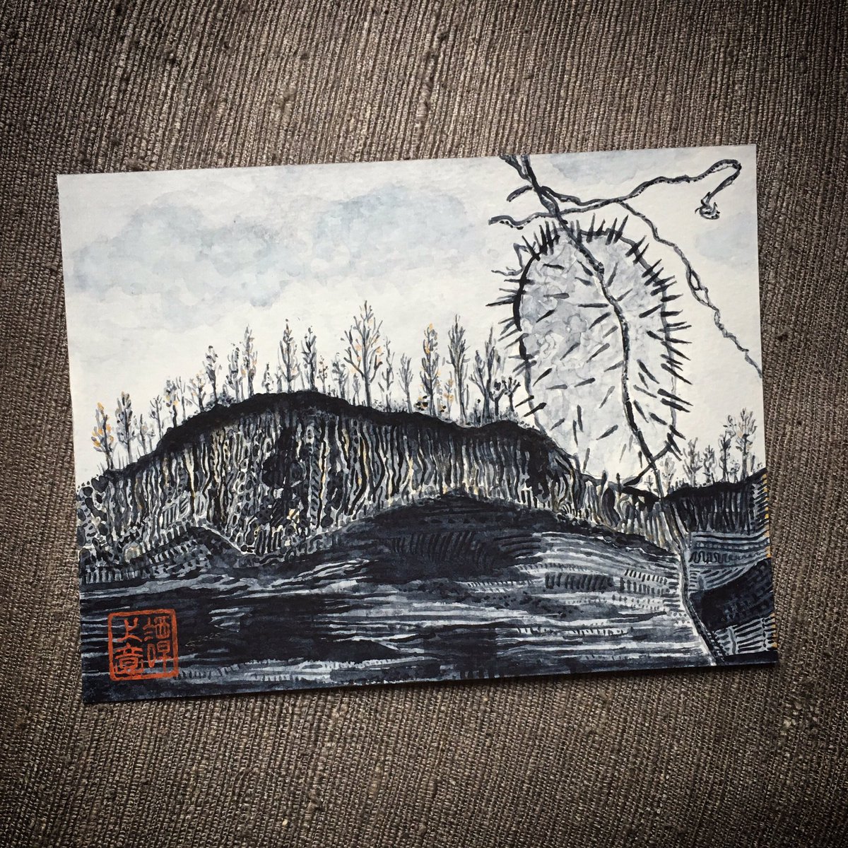 was a good day...

Guildwood • Echinocystis lobata

slow start to the year but postcard finally done and going in the mail

#tae20 #watercolour #holbein #theyearofpaynesgrey #paynesgrey #postcard #postcardart