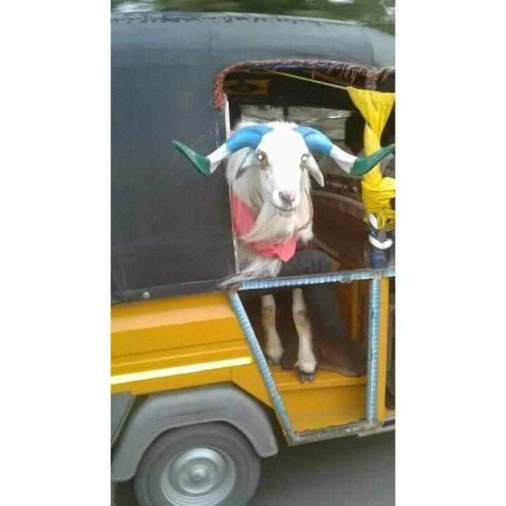 EOoZj8wUEAA7Eqp?format=jpg&name=900x900