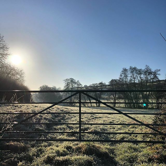 Somersalt tweet media