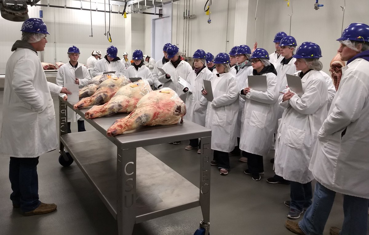 TravisOQuinn's tweet photo. Good luck today to #KStateMeatJudging2020 #50_50Team #50_50in2020 https://t.co/0aSn0Ww7Ka
