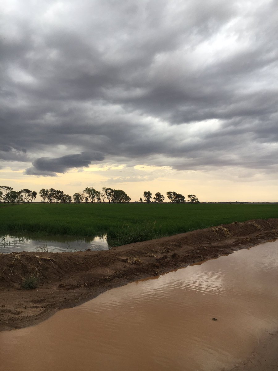 farmercate tweet media