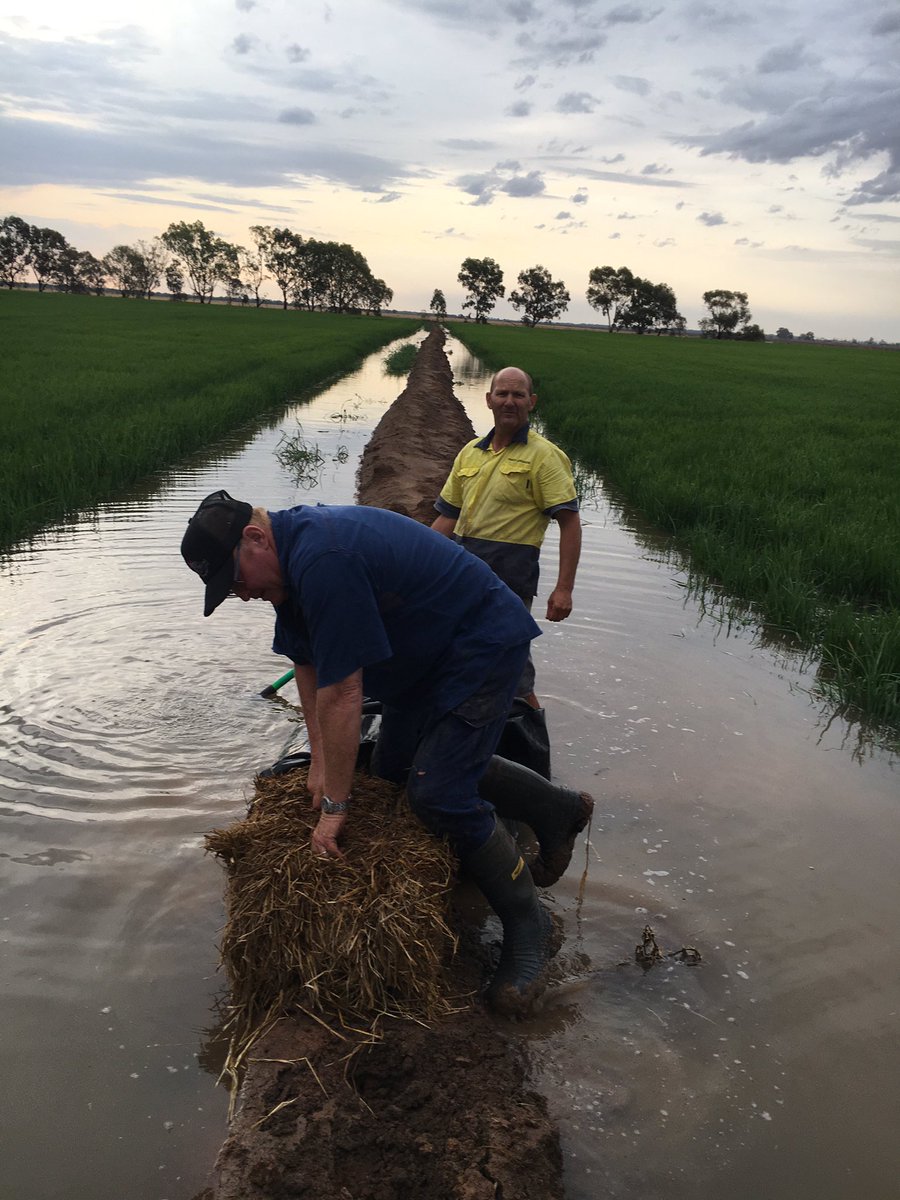 75mm and some burst banks later. Got the neighbour helping #farmlife