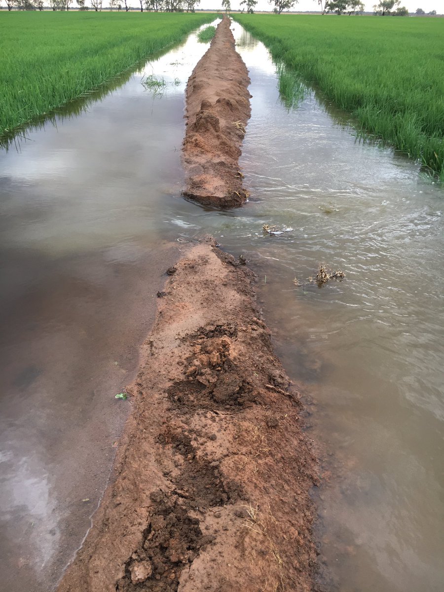 farmercate tweet media