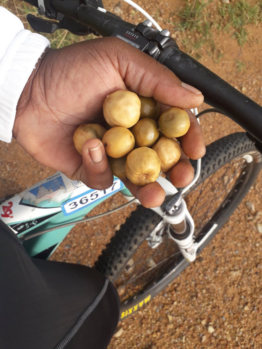 STVeteran's tweet image. Then I had breakfast in the farms #1man  #legdayeveryday