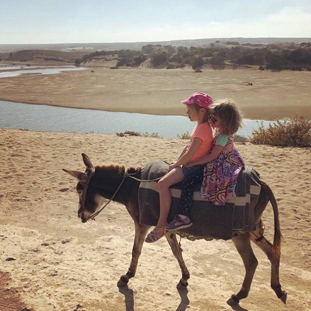 LieselotVanKeer's tweet photo. ❤️ de 2 lieve meisjes op avontuur. Familiereis 2019.🙏🏻 Brave ezel ook 😍😁 https://t.co/vEJnQ2XMau https://t.co/KtHBtSQ2e4