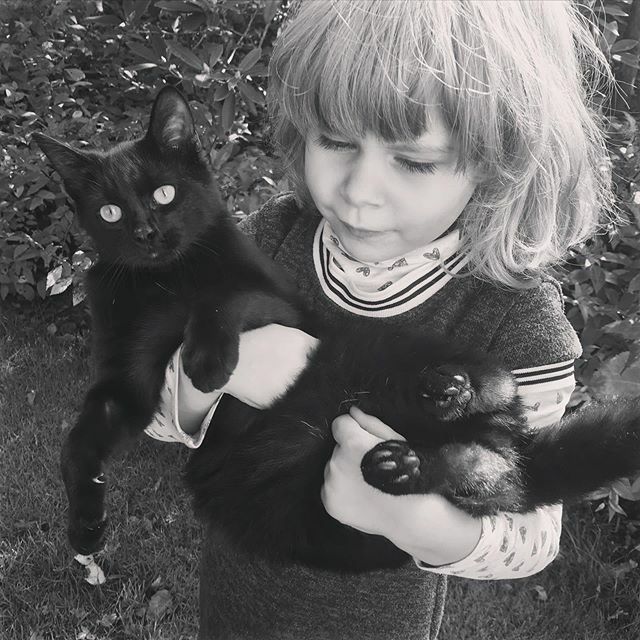 LieselotVanKeer's tweet photo. Lieve dierenvriend Livia met ‘Bertje’, 🥰 ‘Louke’ loopt rond. Twee katjes, twee meisjes: Livia en Elise. ❤️ Nichtjes en beestjes. 😍 https://t.co/NFt191tXUt https://t.co/qQ8y4KipgY