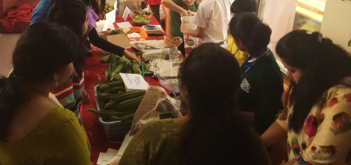 DpsDubai2's tweet photo. Learning Experience! The Nature’s Bounty sale last week proved to be an enriching and empowering experience for students with SEND who organised a market day to sell fresh organic produce grown in gardens nurtured by them in school. #DewaConservationAward #KHDA #UAEFoodSecurity https://t.co/jkvMfVnvqm