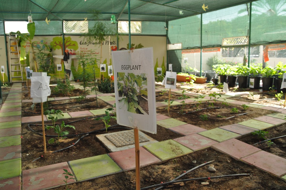 DpsDubai2's tweet photo. Learning Experience! The Nature’s Bounty sale last week proved to be an enriching and empowering experience for students with SEND who organised a market day to sell fresh organic produce grown in gardens nurtured by them in school. #DewaConservationAward #KHDA #UAEFoodSecurity https://t.co/jkvMfVnvqm