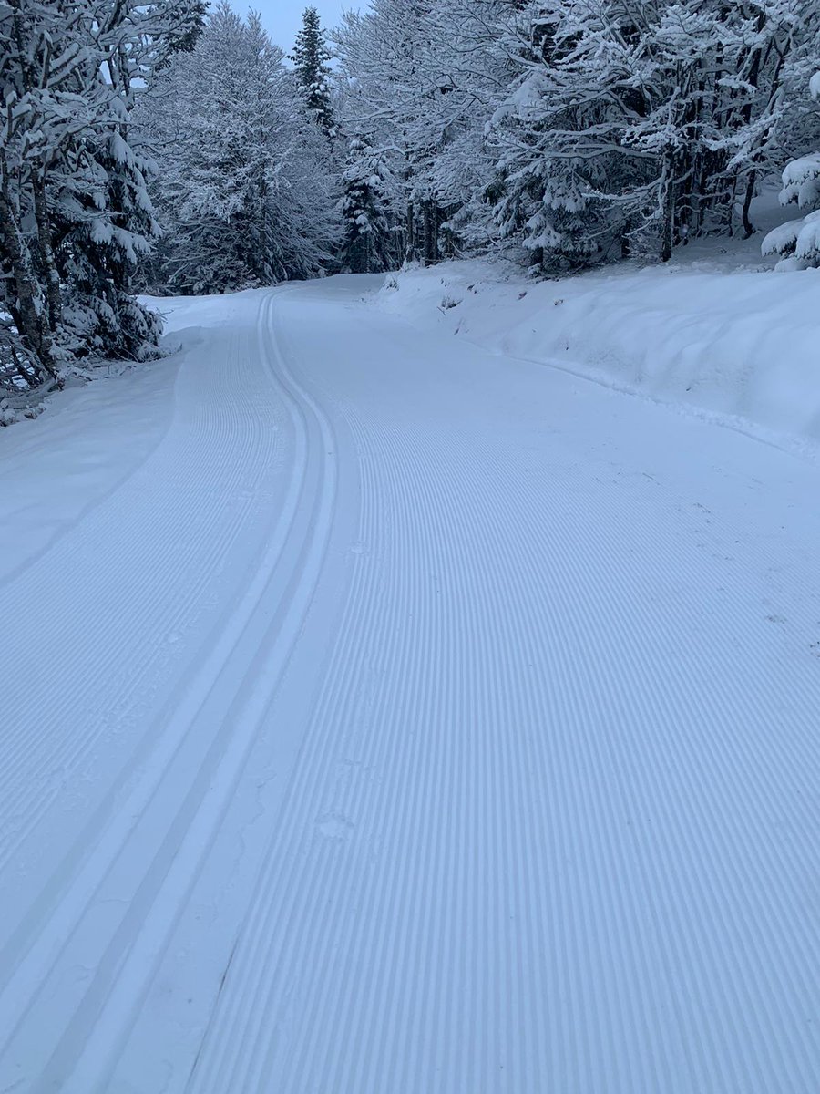 20 cm de #nieve fresca que permiten abrir 7 km e#Somport ❄ 👏estamos encantados!! 😍
¿Quieres aprender o mejorar? Te esperamos en la #Escuela de #esquinordico con  clases y cursillos para todos 
☎️ (00 34) 620 425 169
escuelaesquinordico.com
#Pirineos 😍❄
#esquidefondo