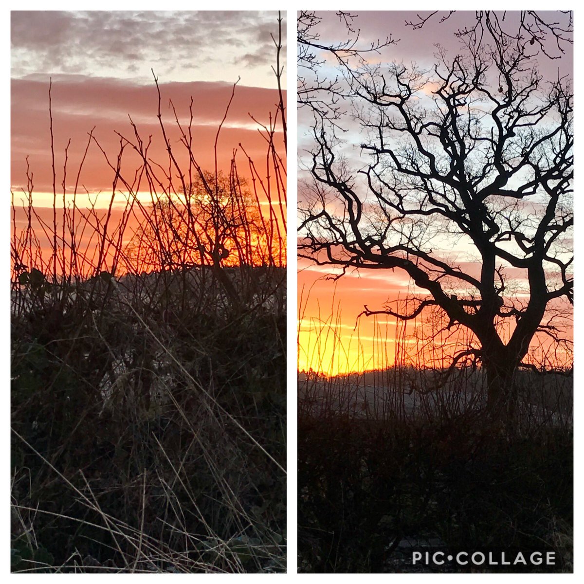 AnnieBoslem's tweet photo. @WindyWilson88 #Sunrise #Benview #clackmannanshire amazing dog walk this morning https://t.co/BGe70KIyrM