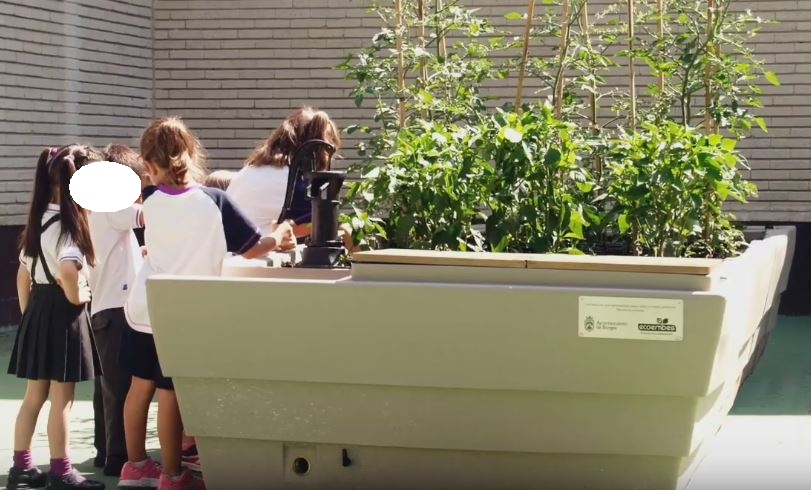 Ceci ... ou cela? rdv option-naturelle.com